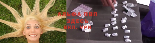 PSILOCYBIN Абдулино
