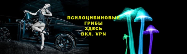 PSILOCYBIN Абдулино